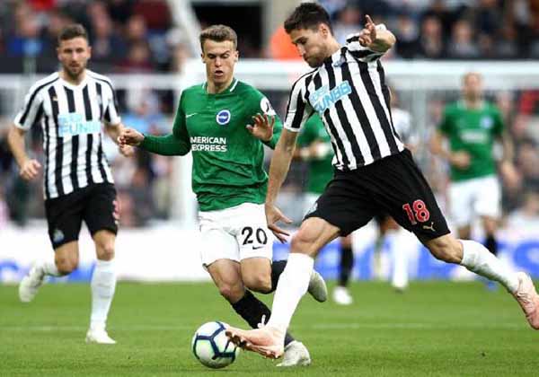 Nhận định Soi Kèo Newcastle vs Brighton: Tiếp đà bay cao