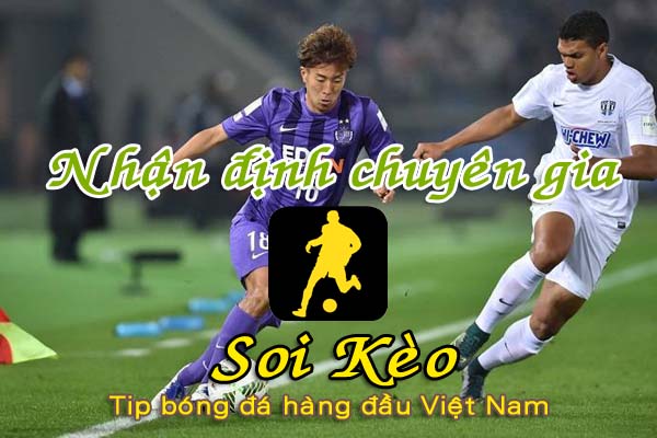 Nhận định Soi Kèo Gamba Osaka vs Sanfrecce Hiroshima
