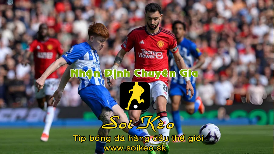 Soi Kèo tip bóng đá Brighton - MU